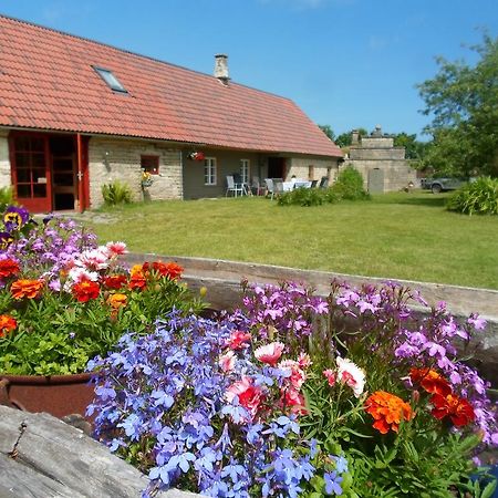 Ansumardi Farmstay Kavandi Eksteriør billede
